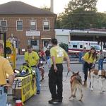 Radnor-09.jpg
