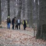 DSC_4608.JPG