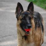 DSC_5213.JPG