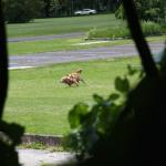 IMG_6887.JPG