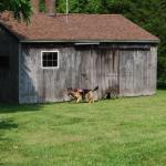 DSC_6190.JPG