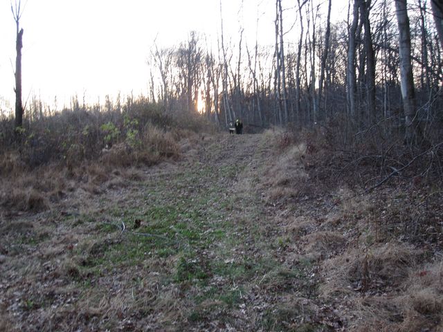 IMG_0363.JPG