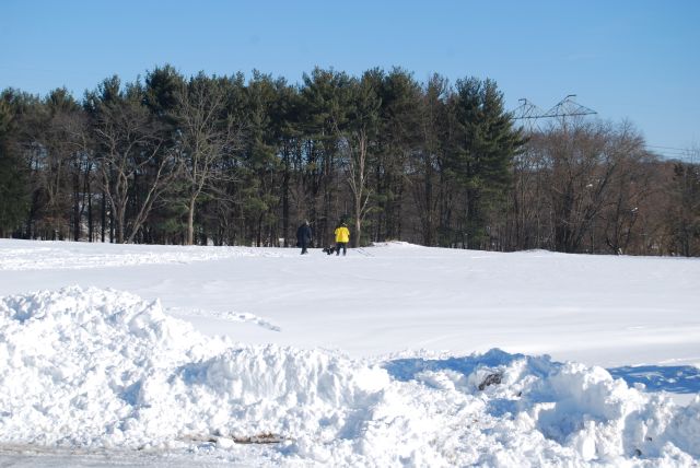 DSC_1452.JPG