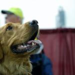 0310_petexpo_sar_kelsie_lrg.jpg