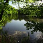 DSC00480.JPG