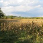 IMG_0982-RS