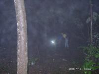 09040015 