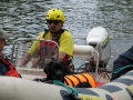 img_0353-cr